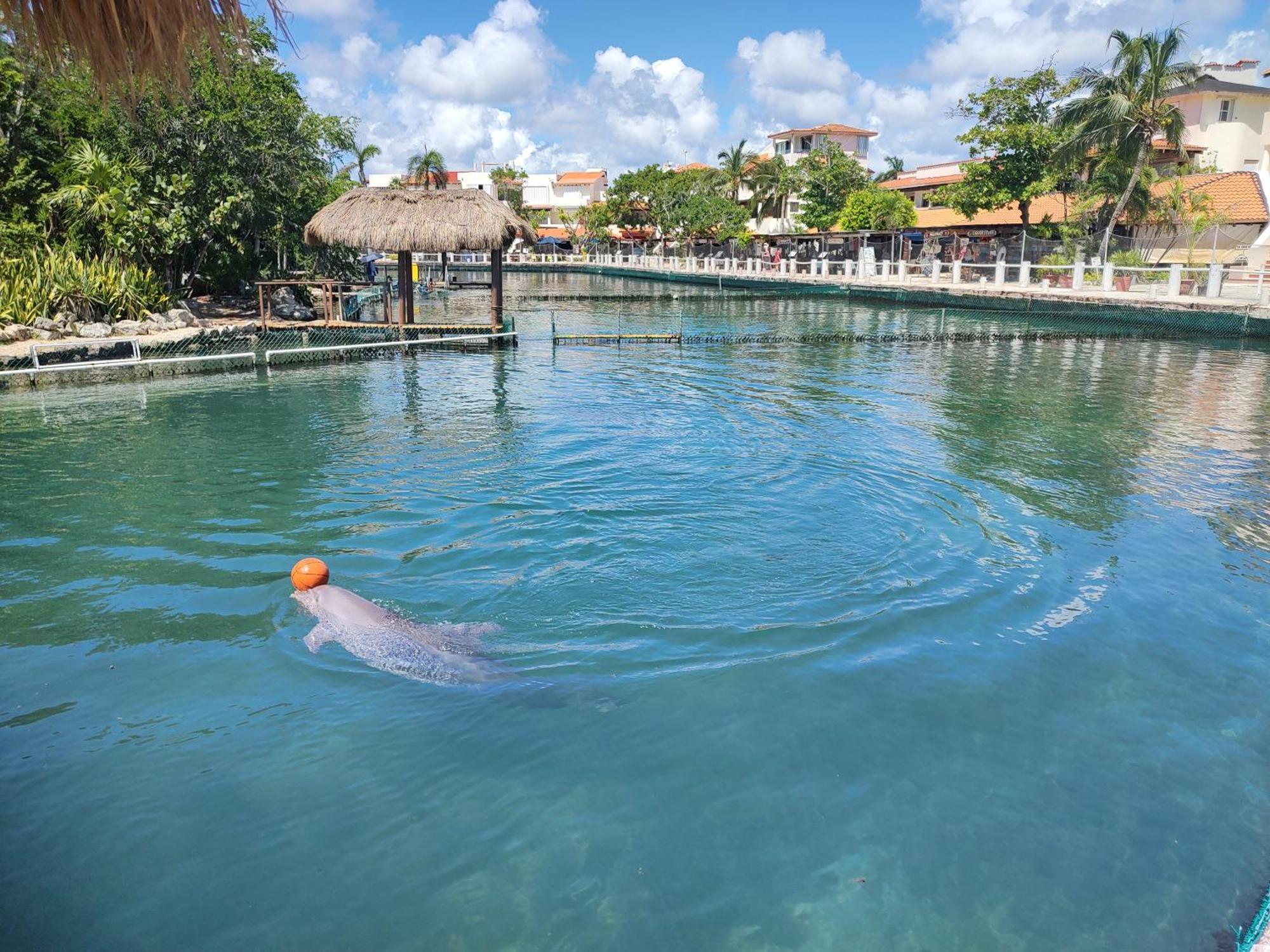 Private Rooms In A Hotel-Type Apartment - Super Located Puerto Aventuras Εξωτερικό φωτογραφία